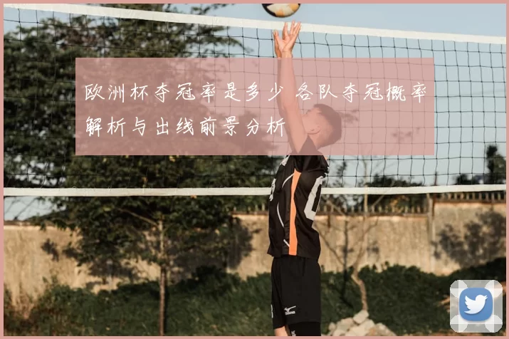 欧洲杯夺冠率是多少 各队夺冠概率解析与出线前景分析