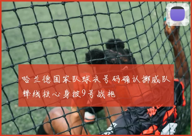 哈兰德国家队球衣号码确认挪威队锋线核心身披9号战袍