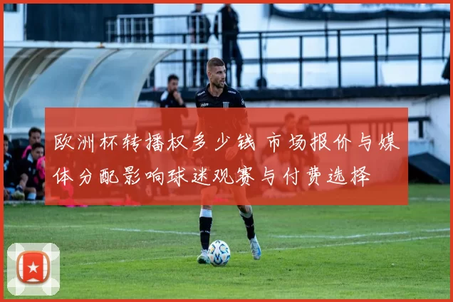 欧洲杯转播权多少钱 市场报价与媒体分配影响球迷观赛与付费选择