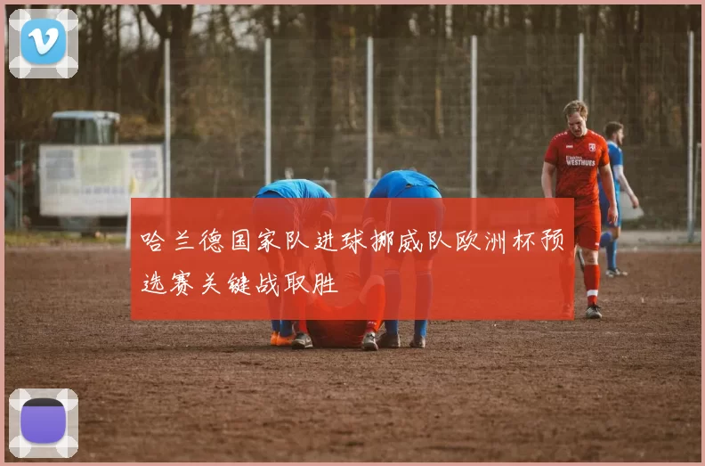 哈兰德国家队进球挪威队欧洲杯预选赛关键战取胜