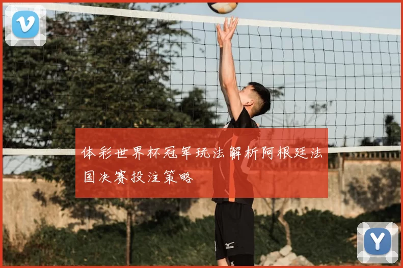 体彩世界杯冠军玩法解析阿根廷法国决赛投注策略