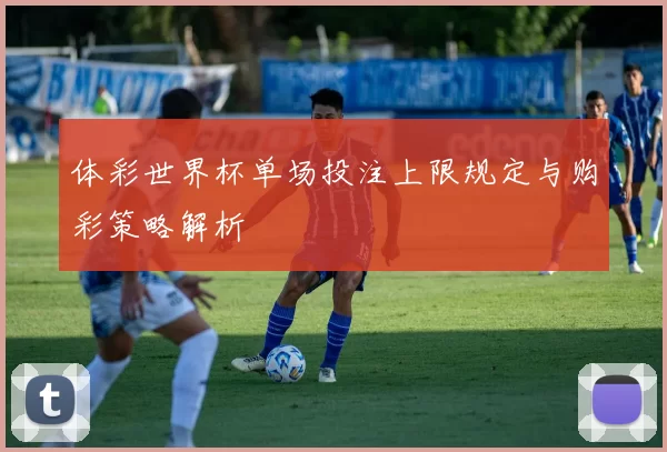 体彩世界杯单场投注上限规定与购彩策略解析