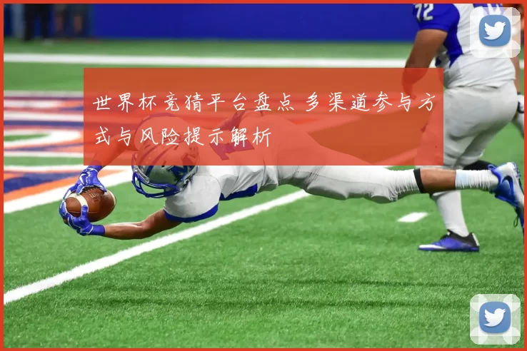 世界杯竞猜平台盘点 多渠道参与方式与风险提示解析